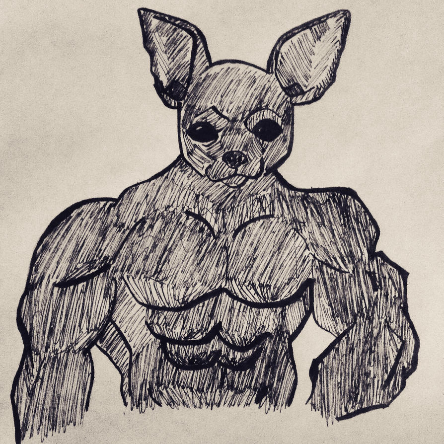 muscular_chihuahua__by_megamanofhonor-d8dfkey.jpg