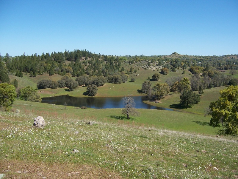 1318471369_14042_sierra_foothills_ranch.jpg