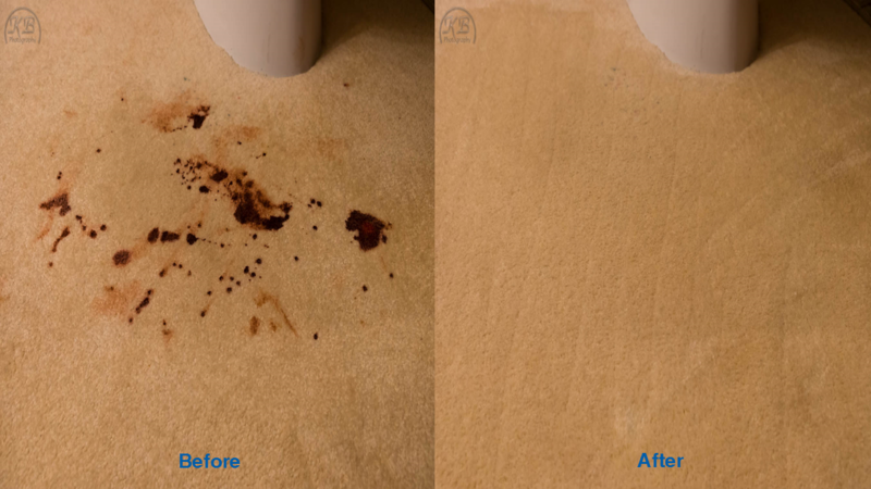 149698.carpet-cleaning-spot-browns-chem-dry.p.png