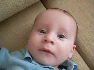 1580954979536.gif