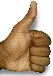 180px-The_Thumbs-up_position.jpg