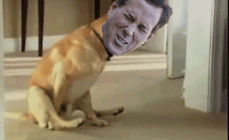 200_s.gif