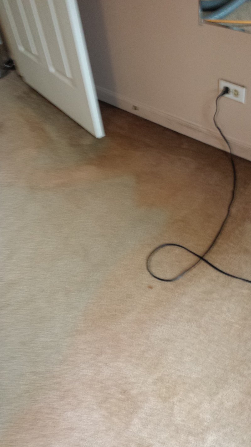 20140429_132234.jpg