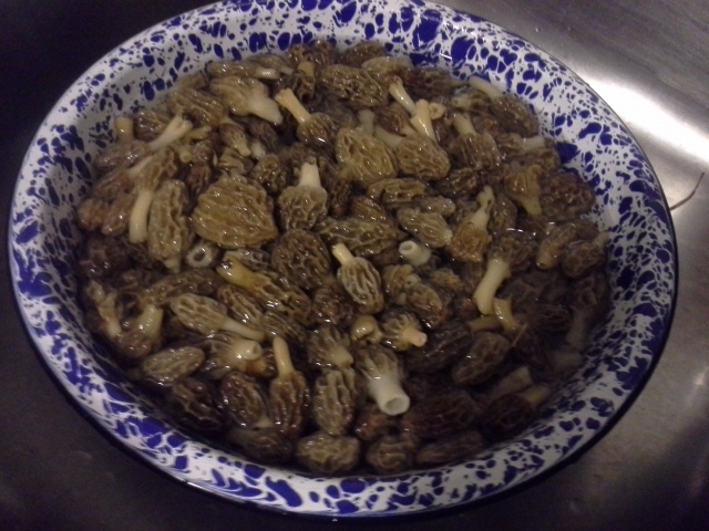 20140512_212656.jpg