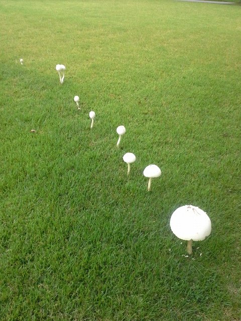 20140823_171352.jpg