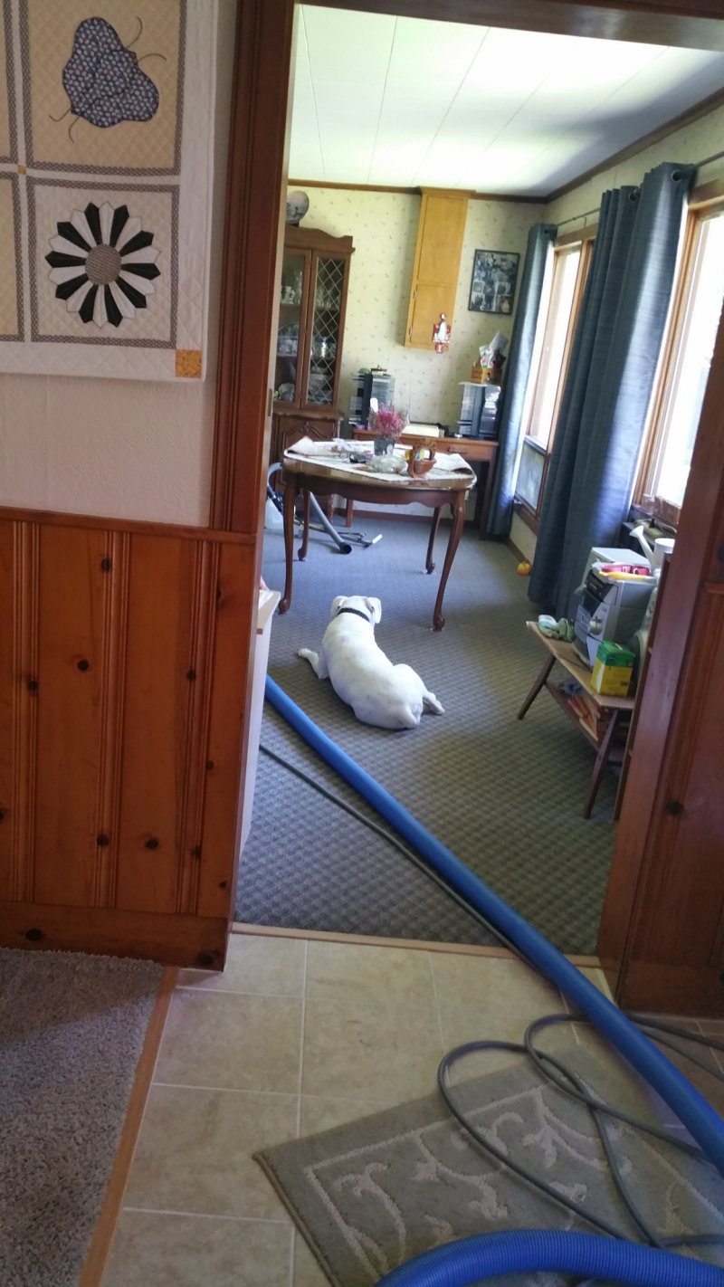 2015-06-25 11.54.38.jpg