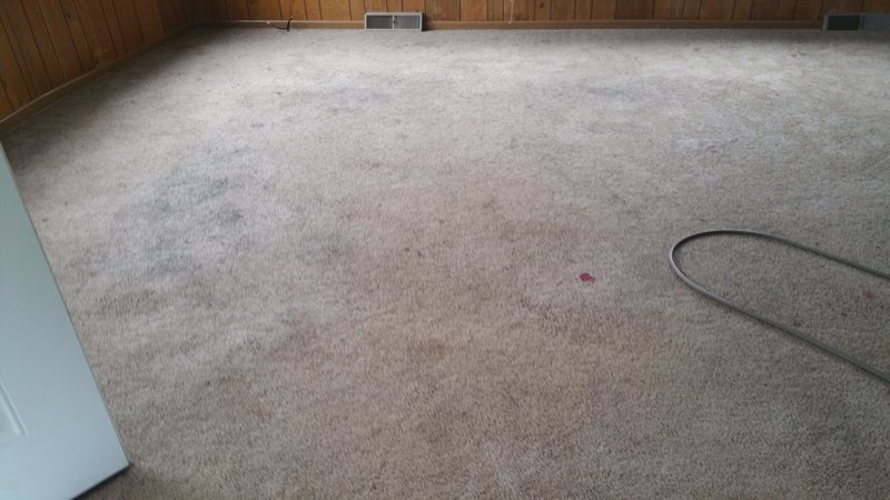 2015-08-18 16.23.15.jpg