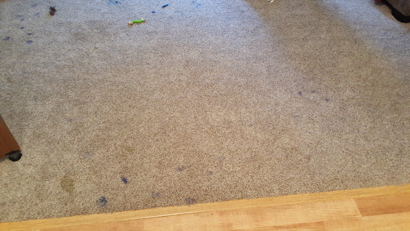 2015-10-08 17.29.13.jpg