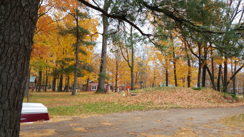 2015-10-12 09.49.31.jpg