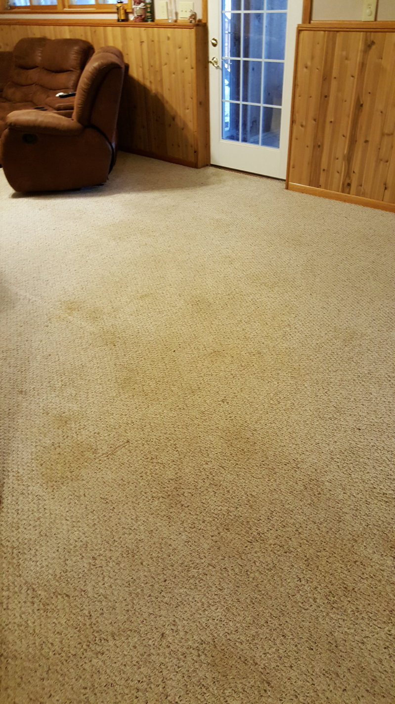2015-10-29 12.29.24.jpg