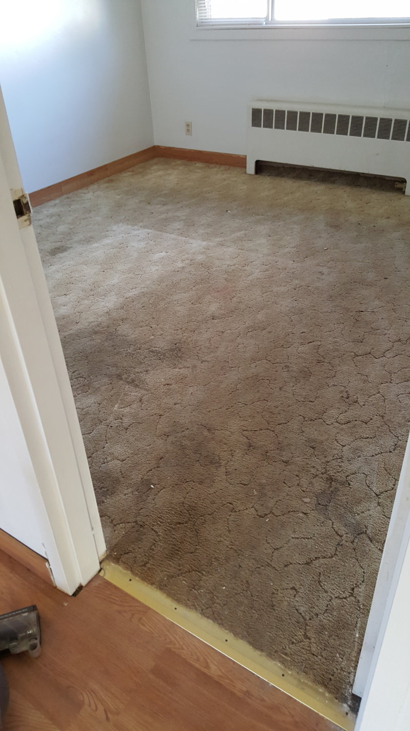 2015-11-09 15.05.59.jpg