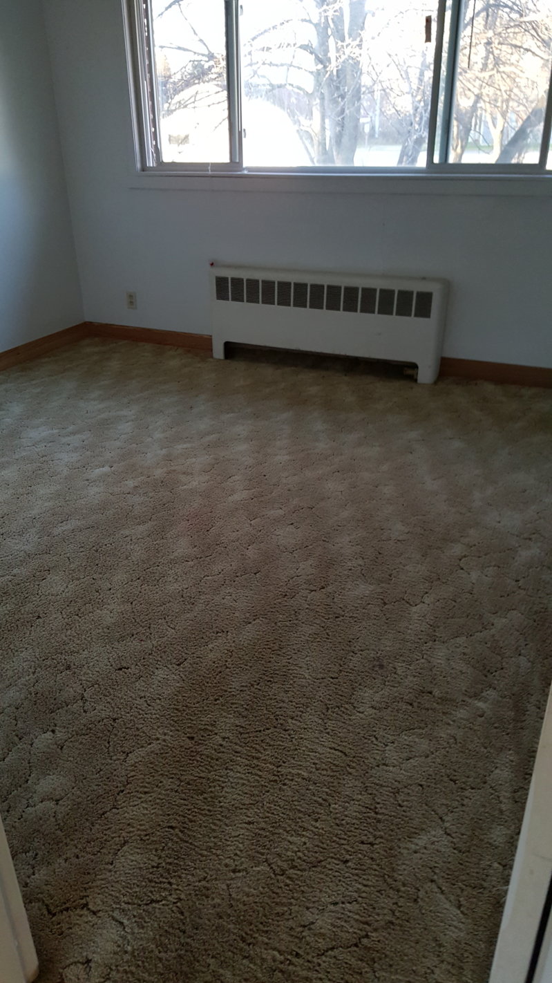 2015-11-09 16.05.15.jpg