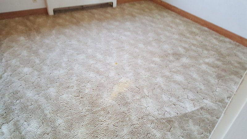2015-11-09 16.07.07.jpg