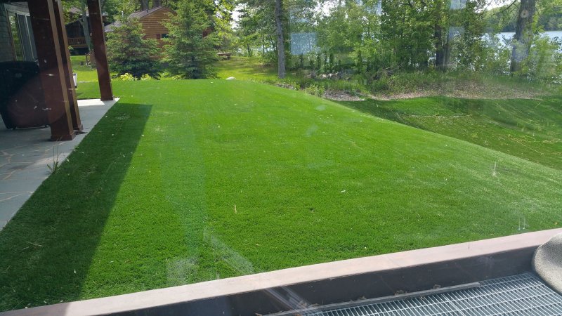 20150601_112852.jpg