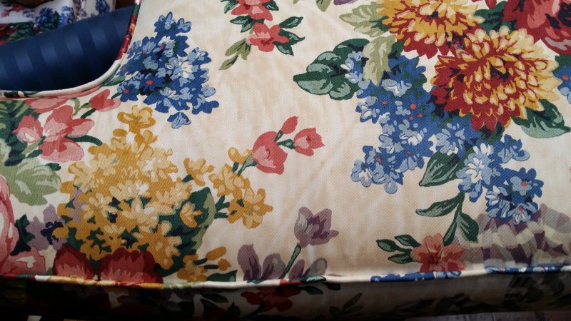 20150622_152558.jpg