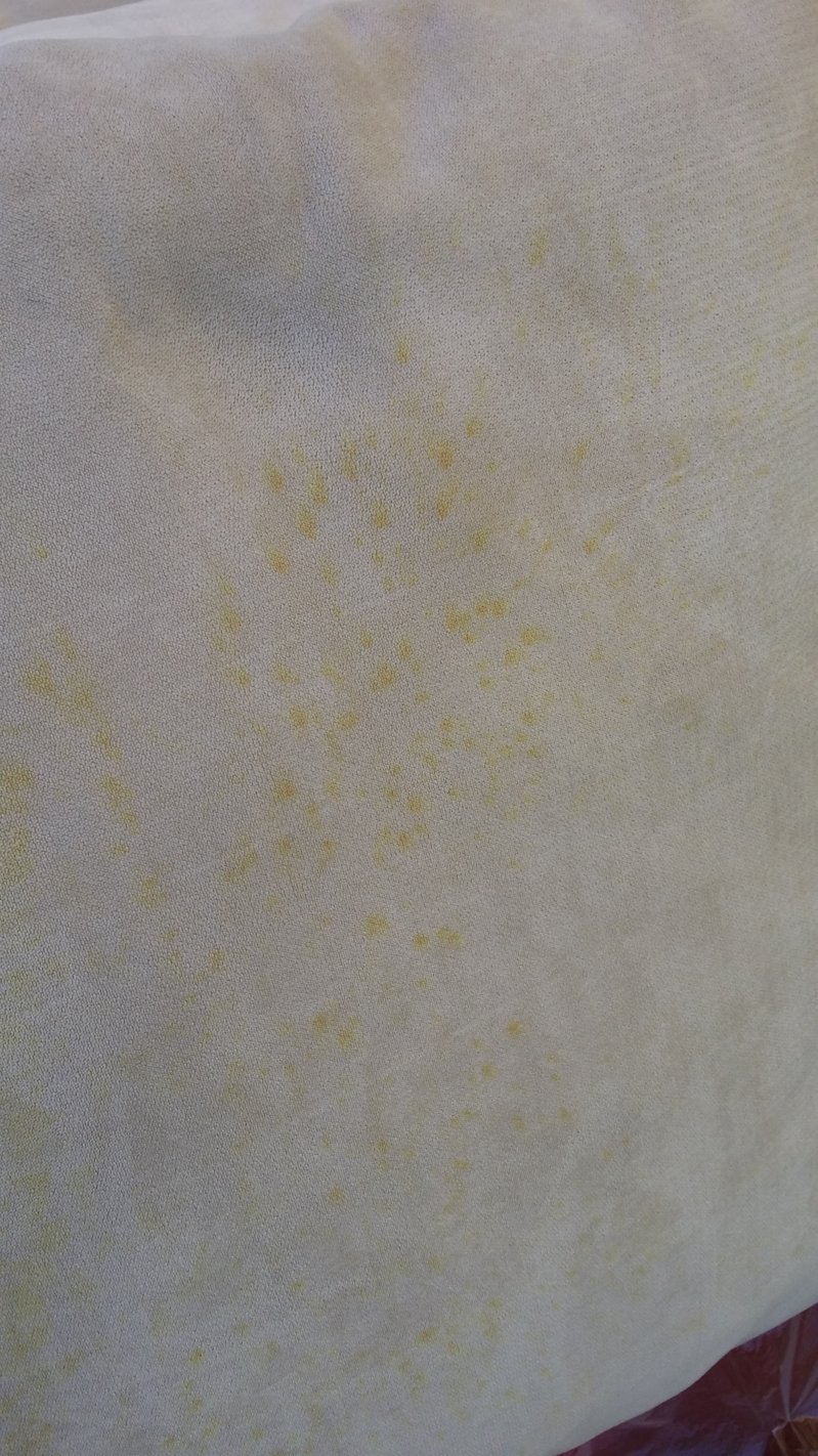 20150624_145010.jpg