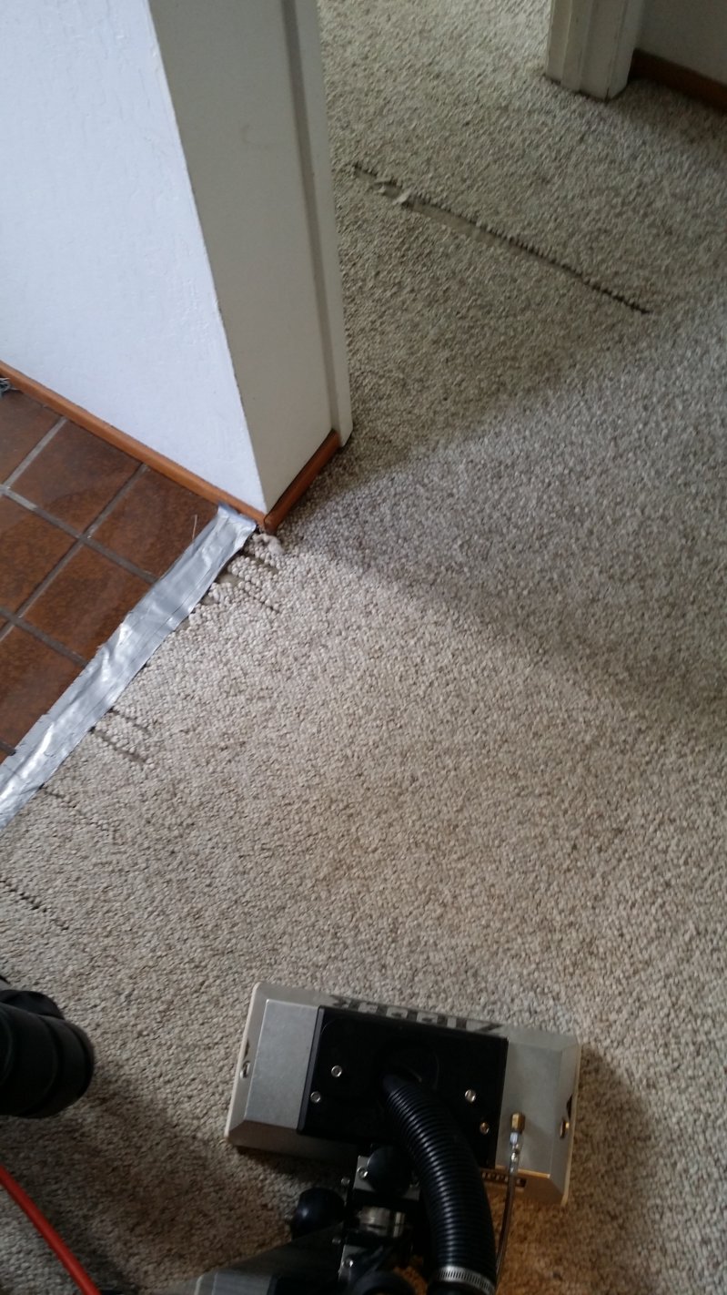 20150720_145543.jpg
