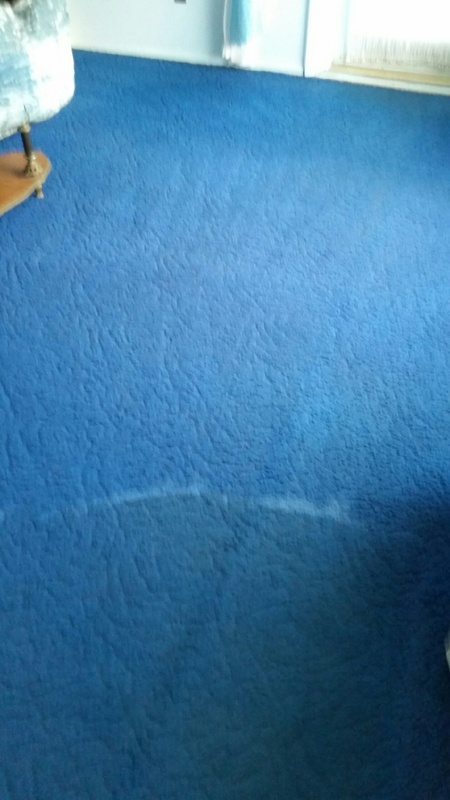 20150812_111929_zps0qg9kt9n.jpe