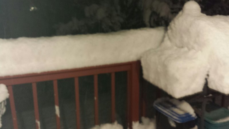 20151121_002043.jpeg