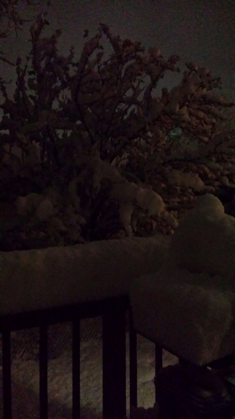 20151121_002148.jpeg