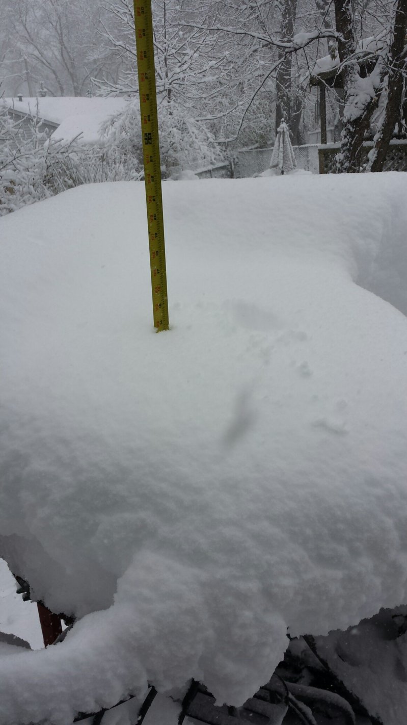 20151121_103410.jpeg