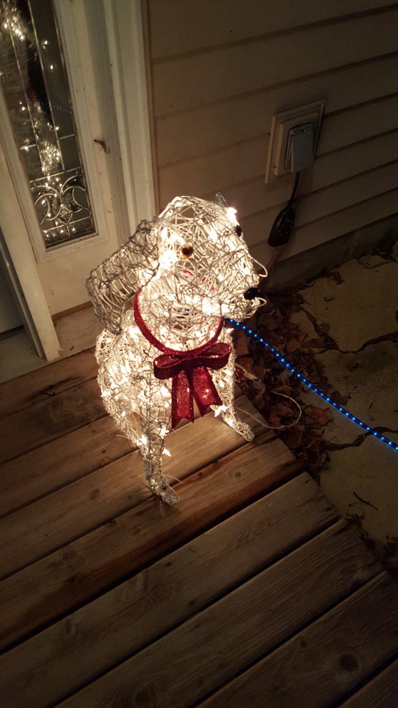 20151207_003735.jpg