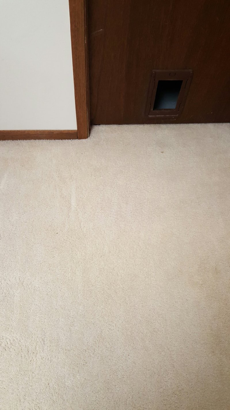 20160202_085101.jpeg