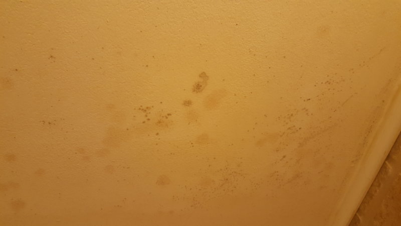 20160309_172949.jpg