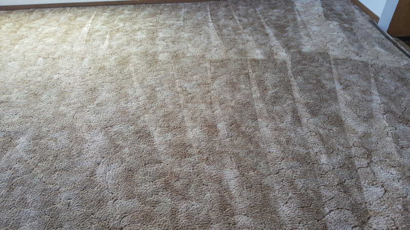20160317_161850.jpg