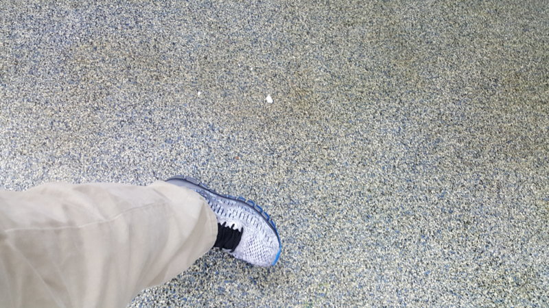 20160318_145452.jpg