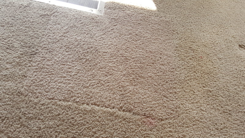 20160325_101017.jpg