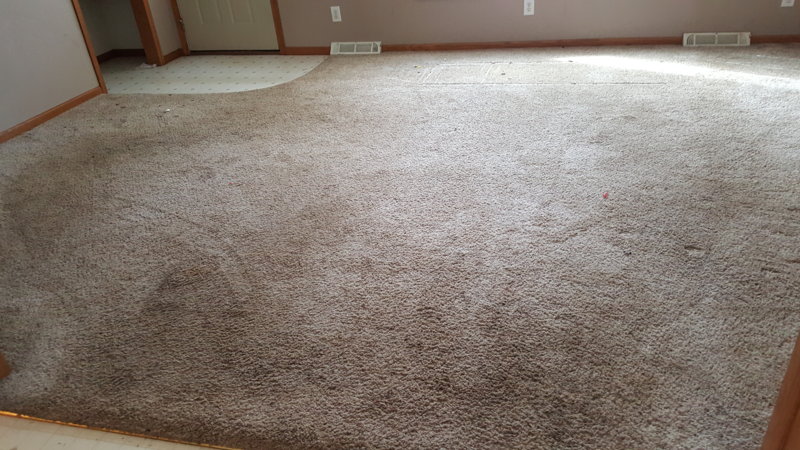 20160403_101117.jpg