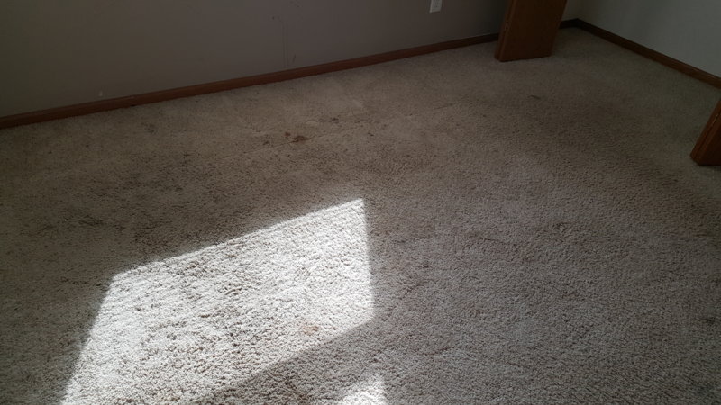 20160403_101137.jpg