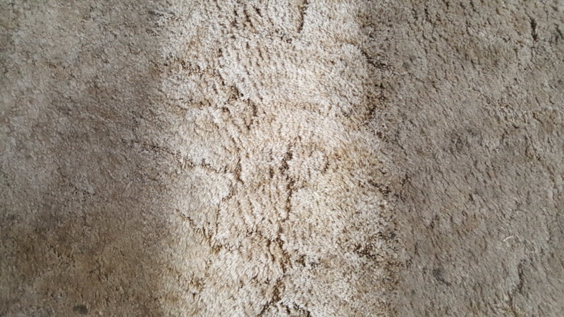 20160513_145430.jpg