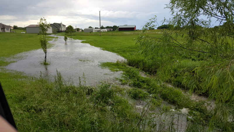 20160526_173331.jpg