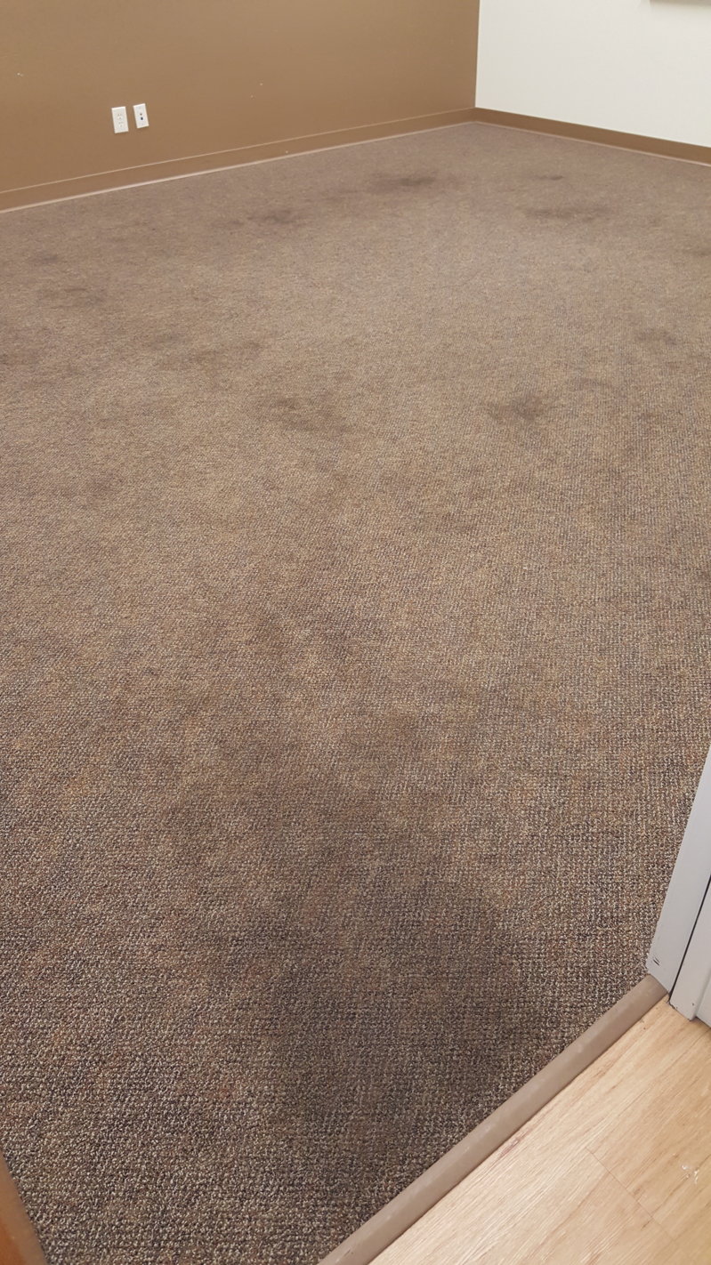 20160624_104100.jpg