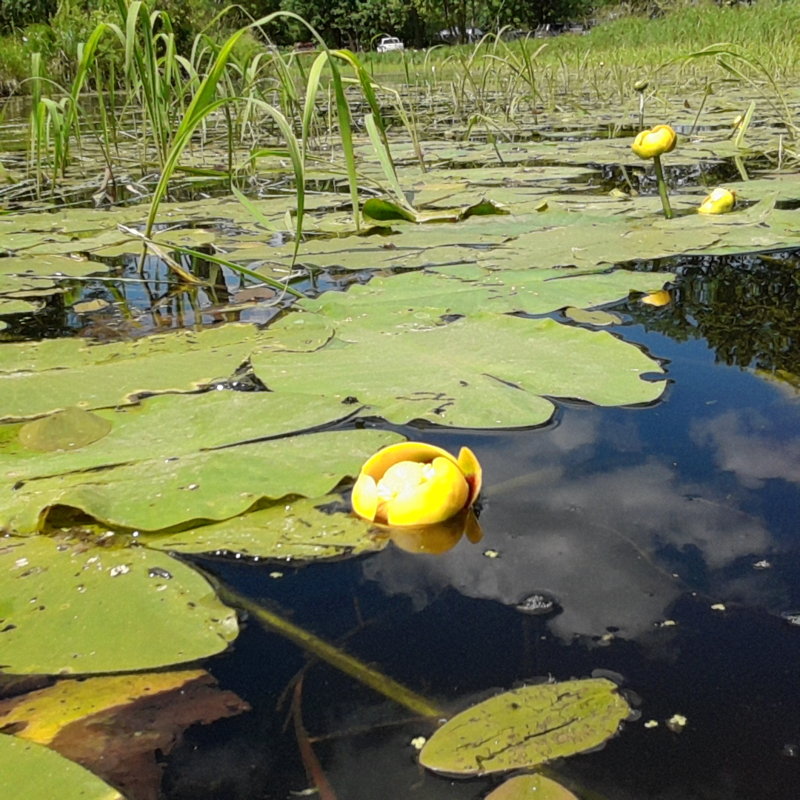 20160702_113619.jpg