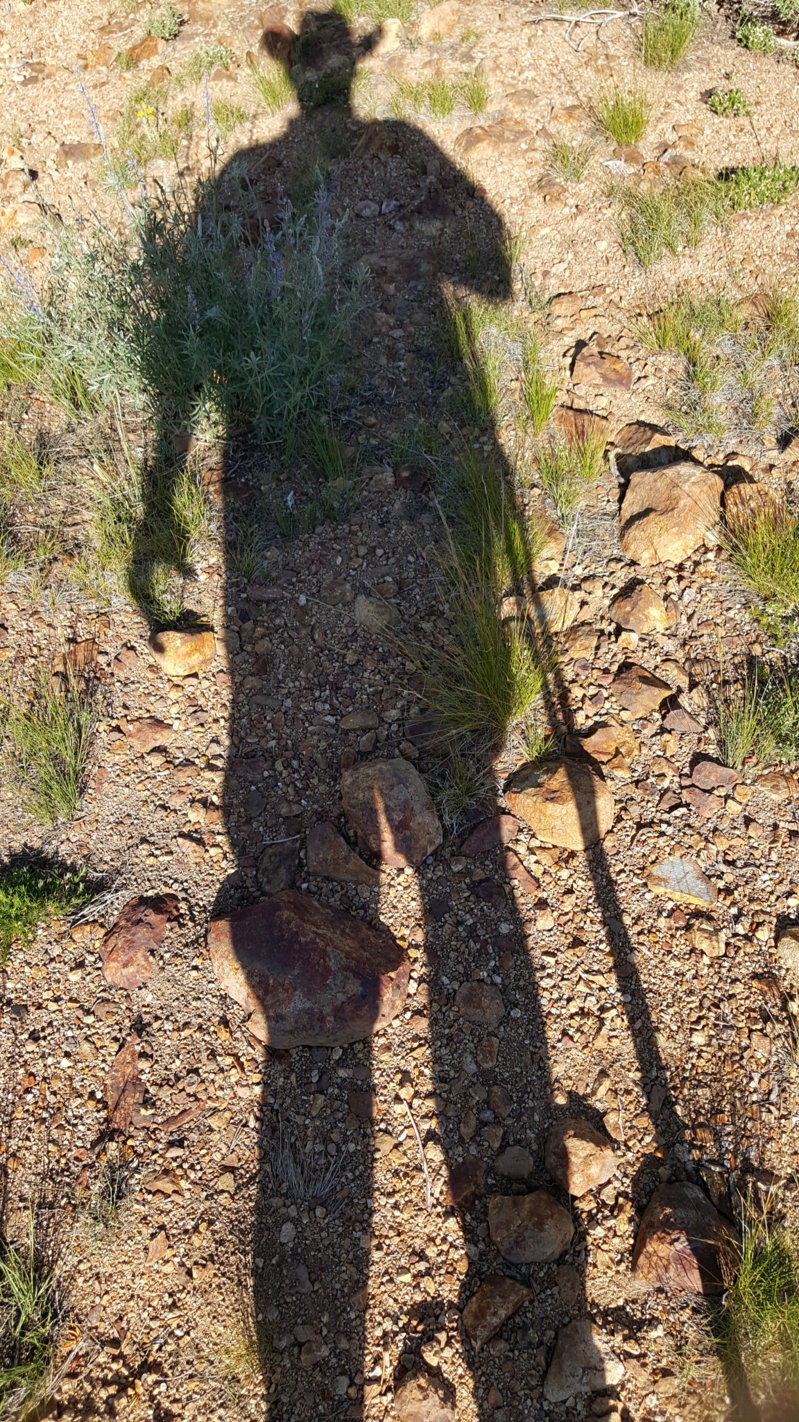 20160703_172102.jpg