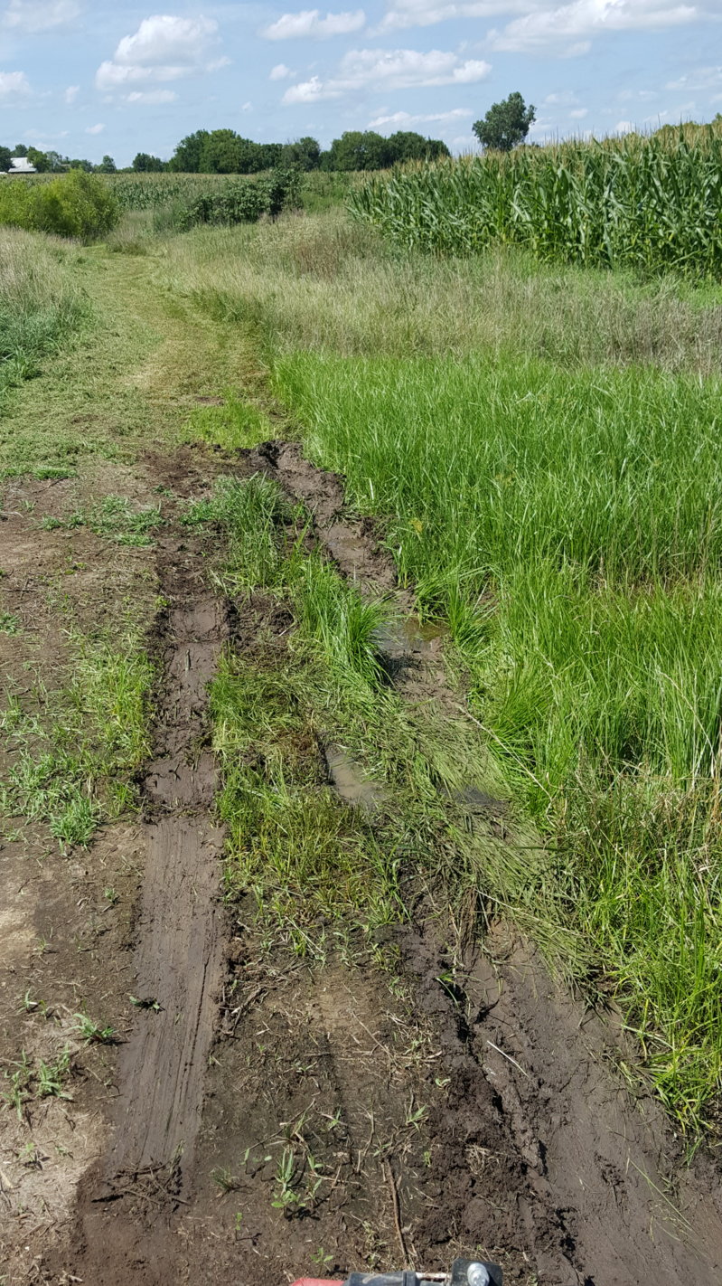 20160716_151602.jpg