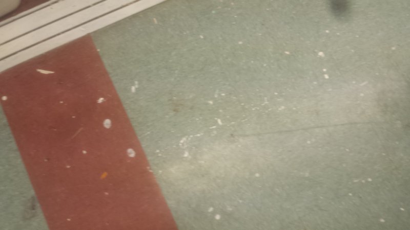 20160808_115942.jpg