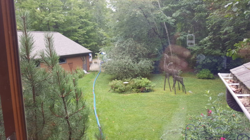 20160825_105551.jpg