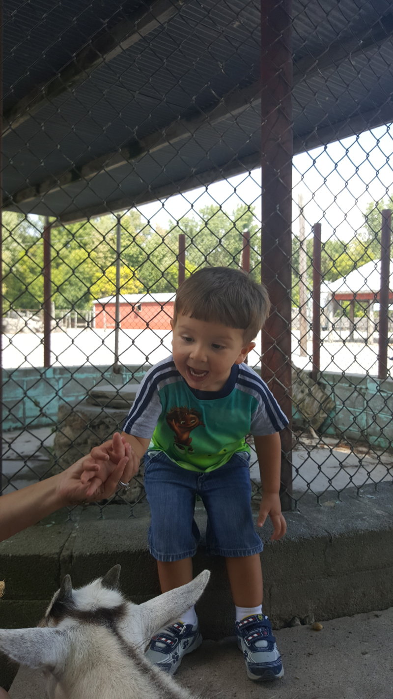 20160831_144114.jpg