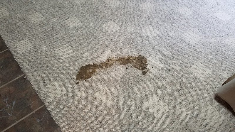 20160905_121802.jpg