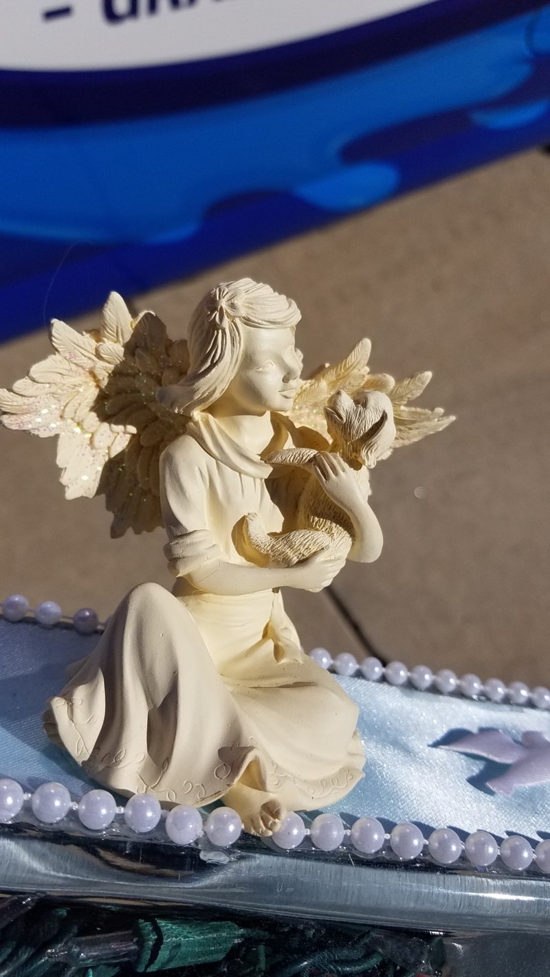20160914_143606.jpg