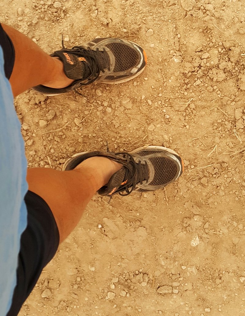 20161004_150727.jpg
