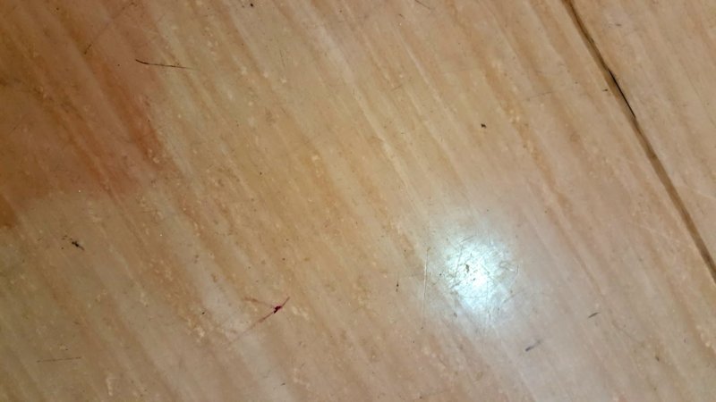 20161104_110109.jpg