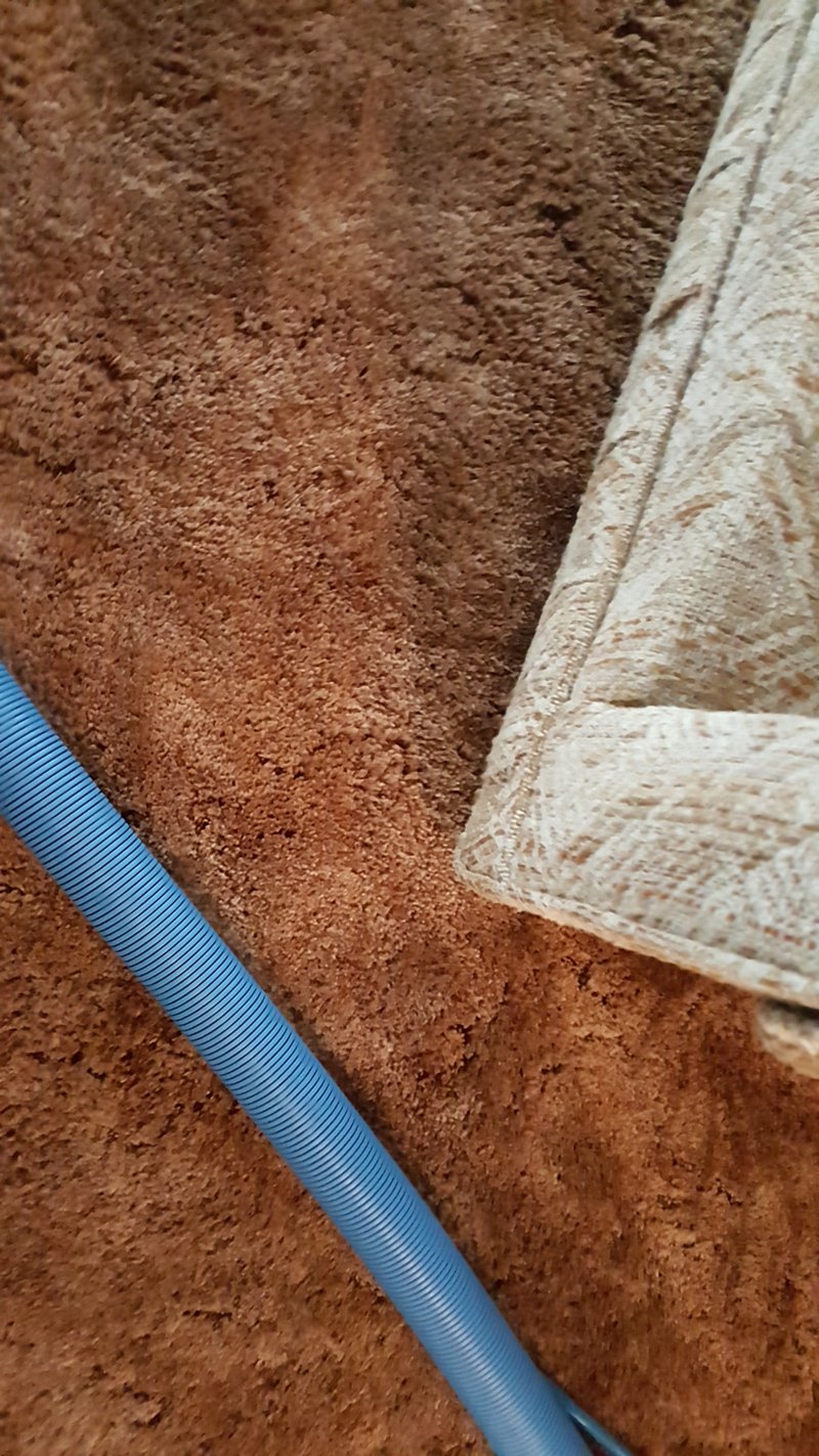 20161123_124048.jpg