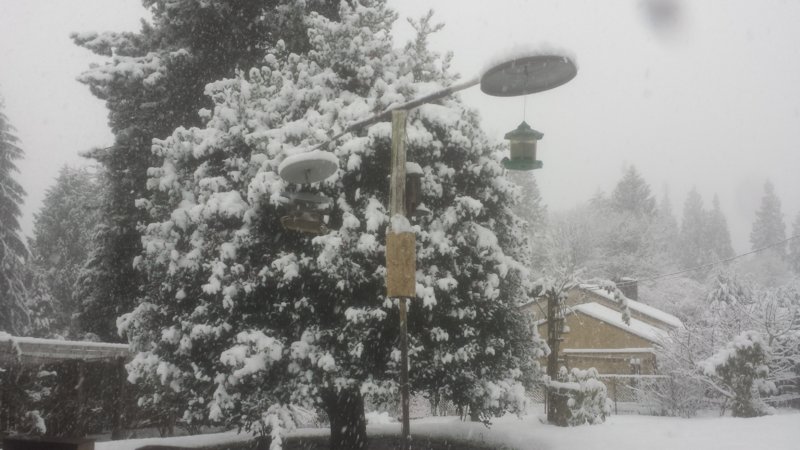 20161209_144941.jpg