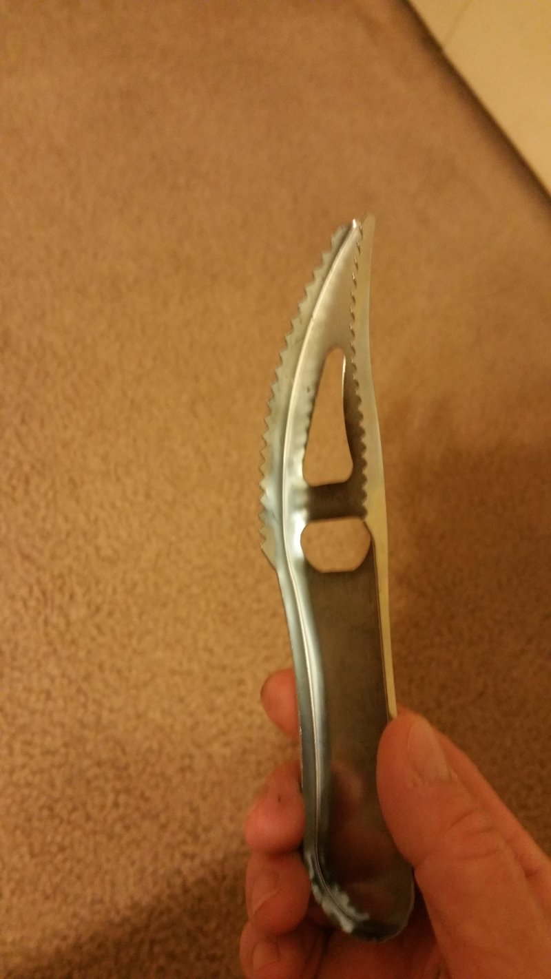 20170718_155546.jpg