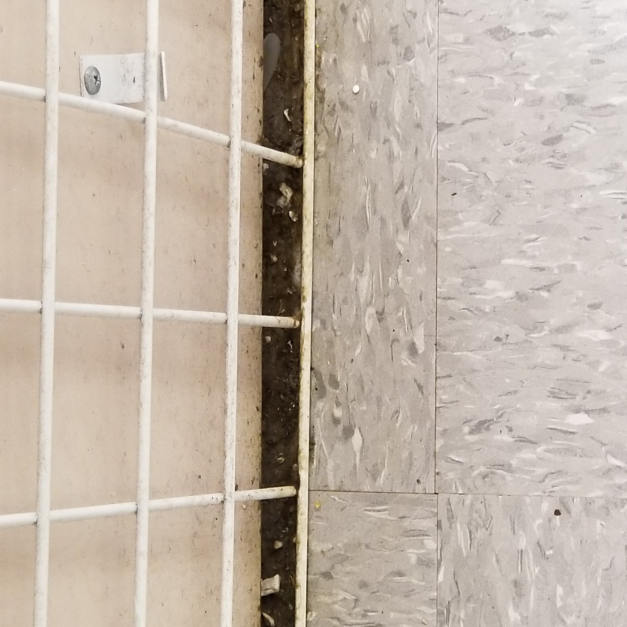 20171107_104437.jpg